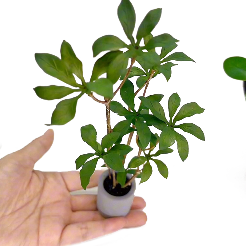 1:6 Dollhouse Miniature Potted - đánh giá và giá Bonsai Garden Home