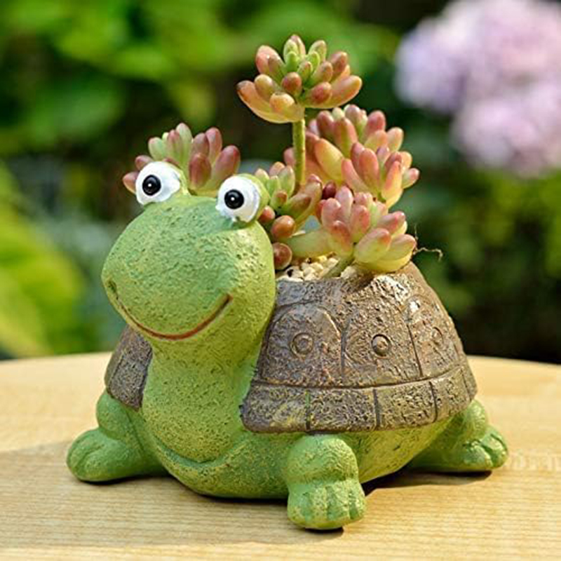 Cute Turtle Planter Succulent  - đánh giá và giá Bonsai Garden Gift
