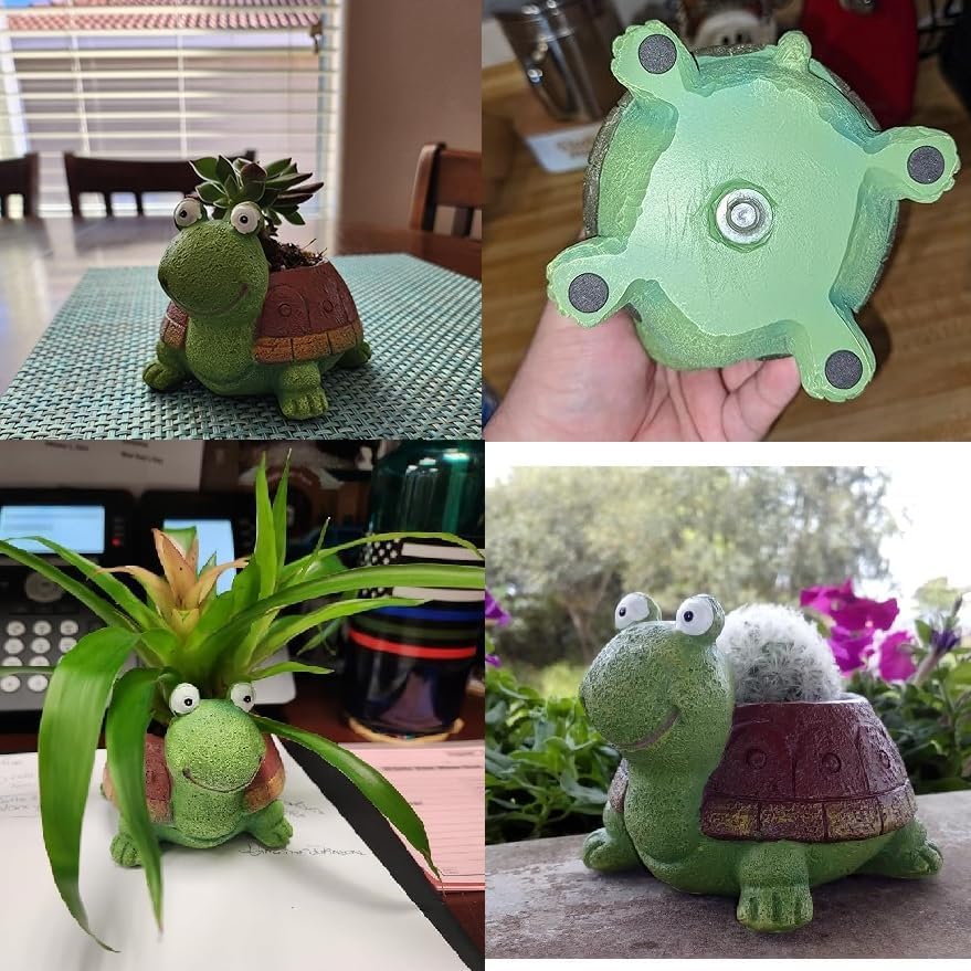 Cute Turtle Planter Succulent  - đánh giá và giá Bonsai Garden Gift