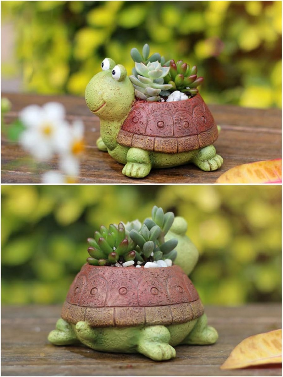 Cute Turtle Planter Succulent  - đánh giá và giá Bonsai Garden Gift