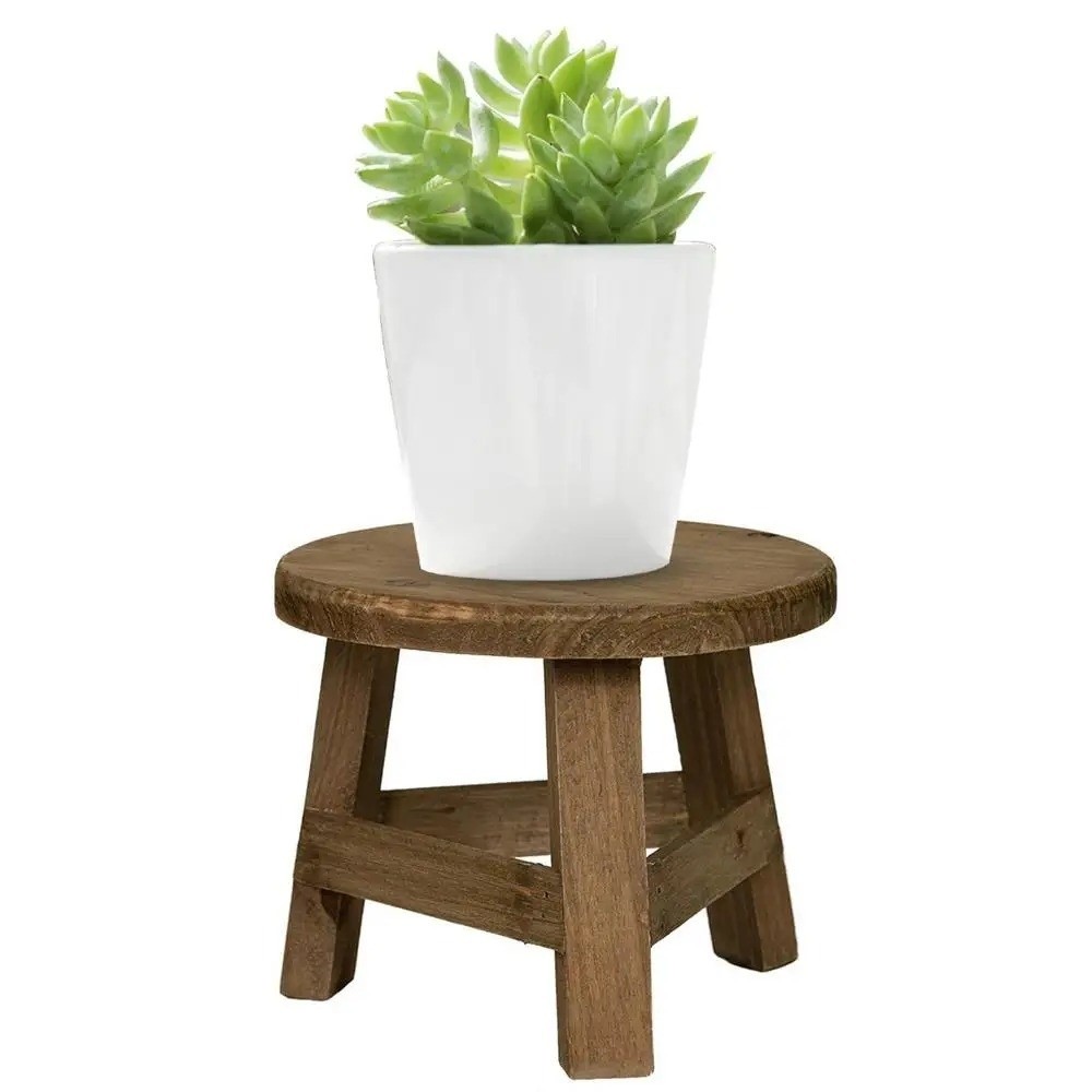 Modern Bonsai Rack Wooden Mini - đánh giá và giá Bonsai Garden Display Stands