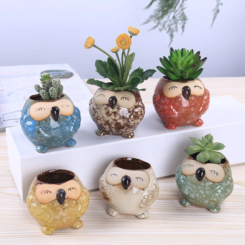 Mini Ceramic Owl Succulent Pla - đánh giá và giá Bonsai Garden Gift