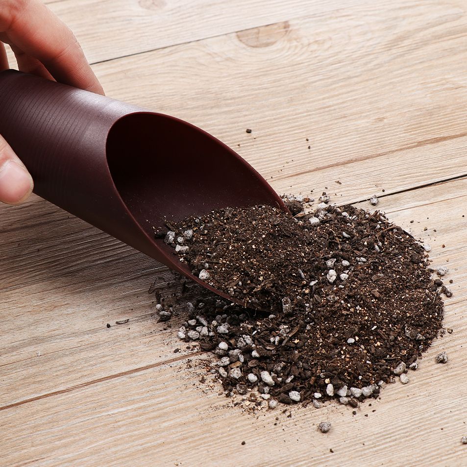 1PC Plastic Soil Shovel Cup Fo - đánh giá và giá Bonsai Garden Home