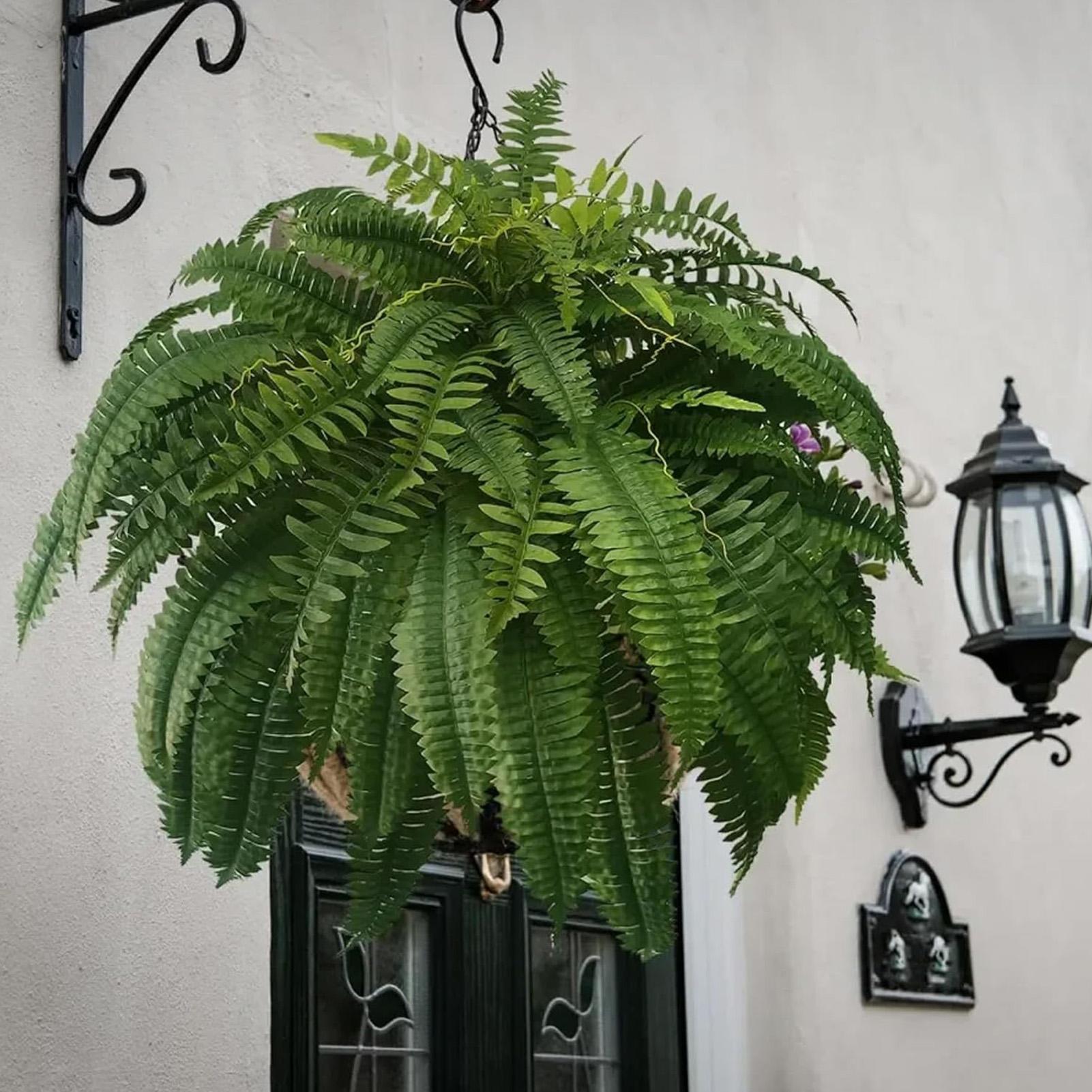 Artificial Boston Fern Fake Pl - đánh giá và giá Bonsai Garden Boston